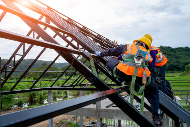 Best Roof Maintenance Services  in Woodville, OH