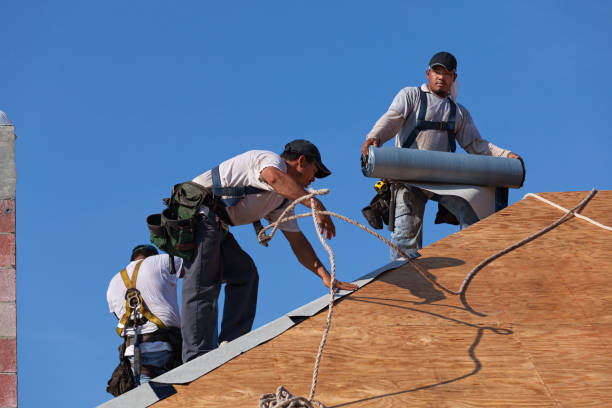 Best Roof Maintenance Services  in Woodville, OH
