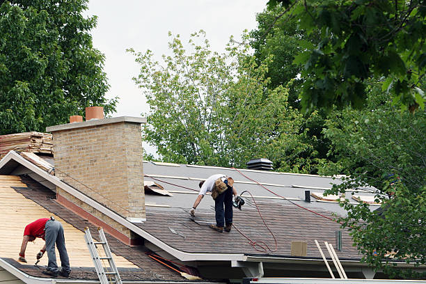 Best Metal Roofing Contractor  in Woodville, OH