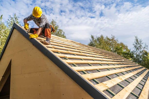 Best Roof Repair Services  in Woodville, OH