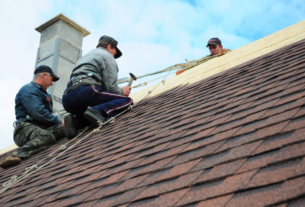 Best Flat Roof Repair Services  in Woodville, OH