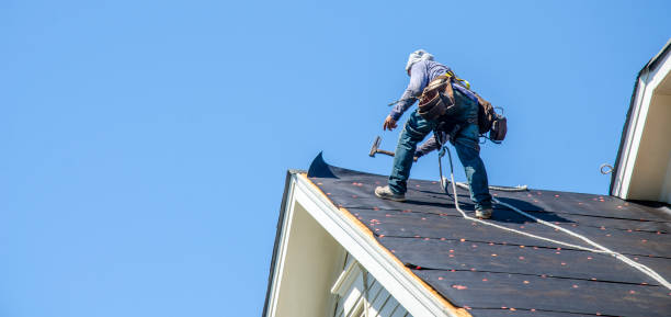Best Storm Damage Roof Repair  in Woodville, OH